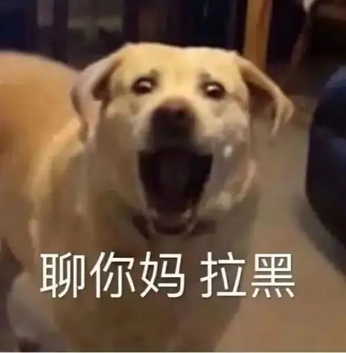  可爱又沙雕的朋友圈文案
