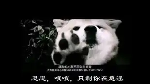  我们一起来填坑,一起喵喵喵喵喵这一局让我吃了两套键鼠套装