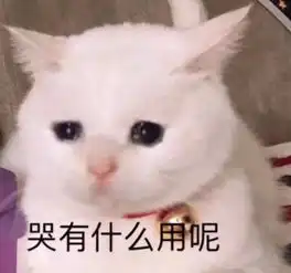早啊表情包可爱可爱的