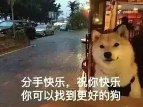  致我们最爱的表情包你永远活在我们的微信里