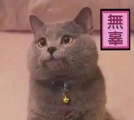  你醒啦猪都比起得早