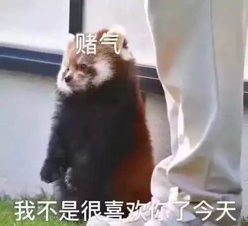  表情包教你如何优雅的骂人