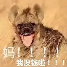  双11后这个月肿么办哼,有了这些表情包我张口要钱就没失败过