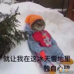 吃惊表情包图片大全回神
