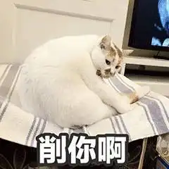  表情网红猫楼楼动态表情