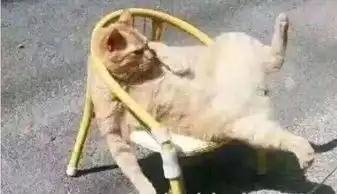  年末了,请善待每一位项目经理