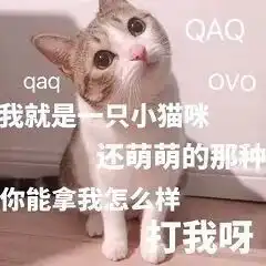  撒娇小猫咪表情包