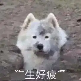  又有新的小表情了给我存它