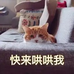  撒娇专用表情包咬你,大坏蛋