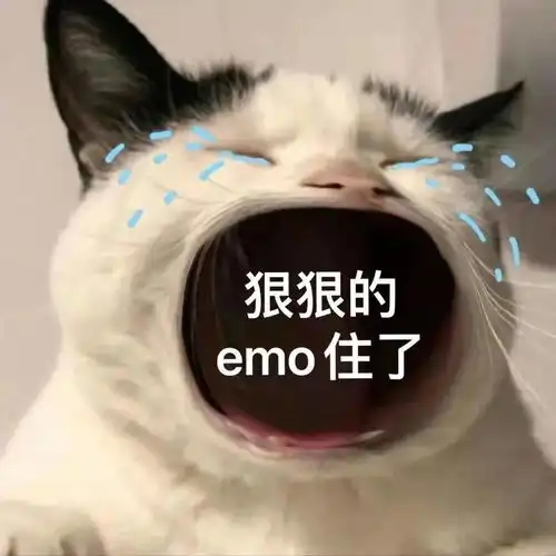  卧谈会绝不emo攻略快来查收