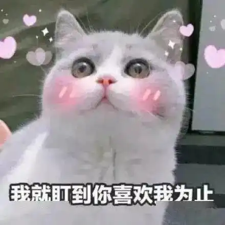 脱粉表情包单身
