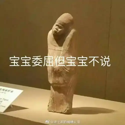 开启斗图模式表情包博物