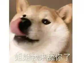  这国产游戏有多奇葩大夏天出棉袄时装,靠老爷爷都能登顶畅销榜