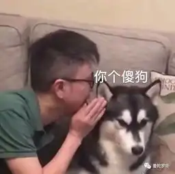 群星表情包大全沙雕