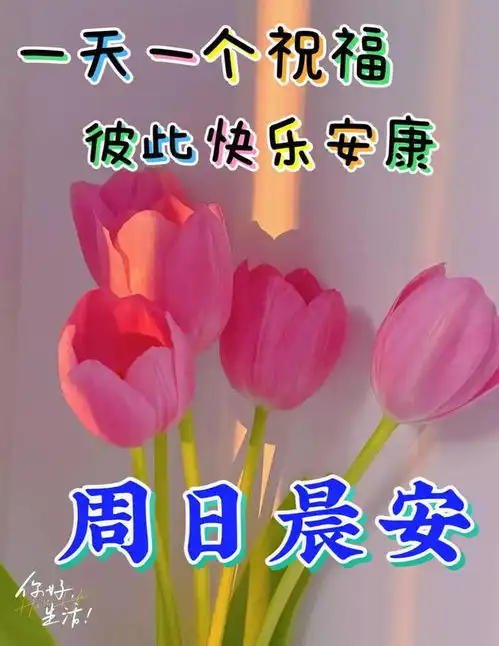  2023年8月20日周日早上好,精选周末早安祝福语创意表情包图片带字带问候语