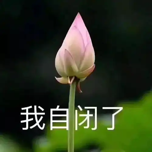  2019年全年放假通知出炉我的五一小长假呢