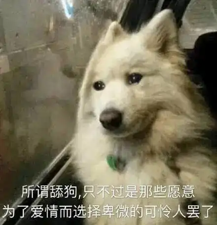  表情包舔狗系列