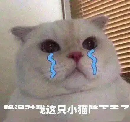  雪停了降温继续,注意保暖