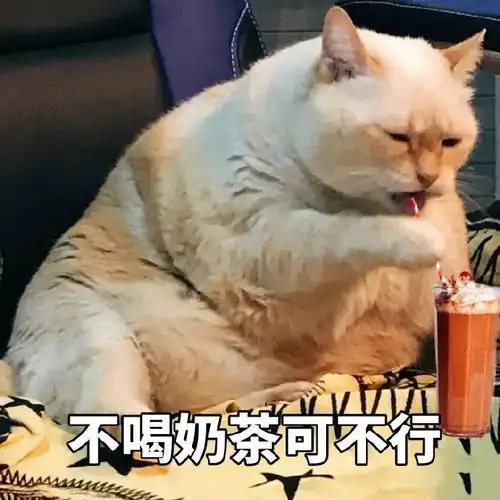  表情包第二十四期不喝奶茶可不行
