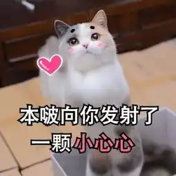 只需4招,教你优雅过完一整个夏天