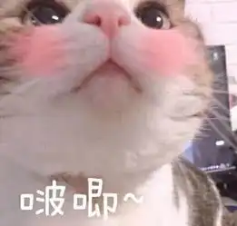  花好月圆,良辰美景,仙女湖中秋游园会重磅来袭