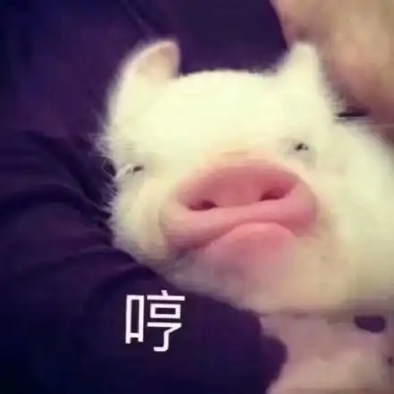  表情包期待的搓搓手