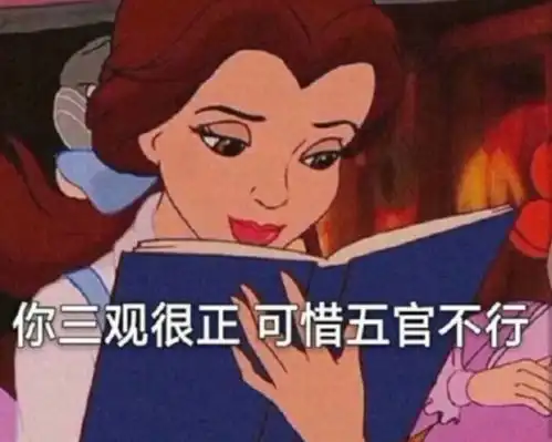 库洛米表情包拽主观过错