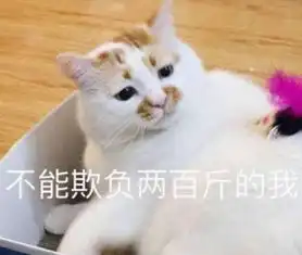 伸懒腰表情包
