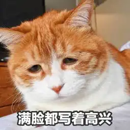  满脸都写着高兴表情包满脸都写着高兴微信表情包满脸都写着高兴qq表情包发表情fabiaoqing.com