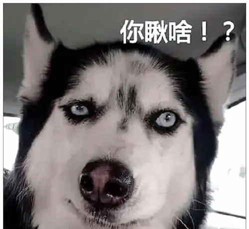 发怒表情包素材二哈