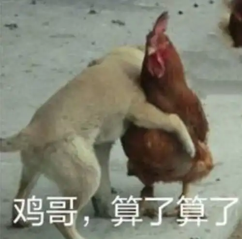  搭配