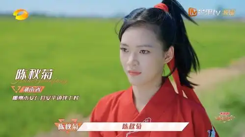  汪涵露出白胡子姚晨变成表情包,芒果台击碎乡村女性的刻板印象