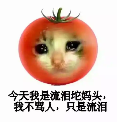  独家专访学五三楼多重福利来临