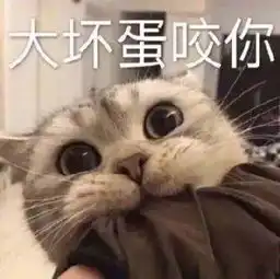  可爱猫咪的表情包我的悲伤大概有这么大