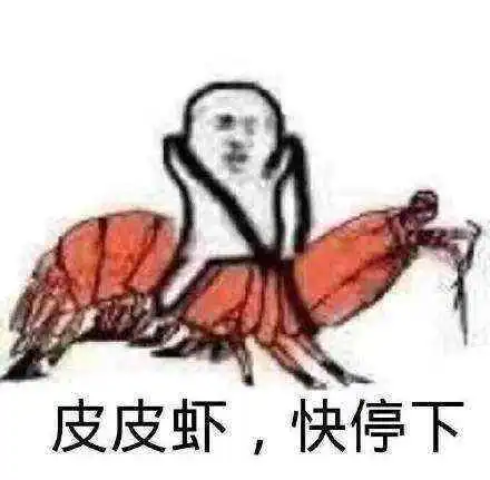 各个表情包的意思皮皮虾