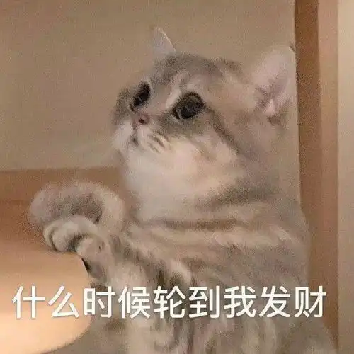  小动物可爱表情包熬夜冠军