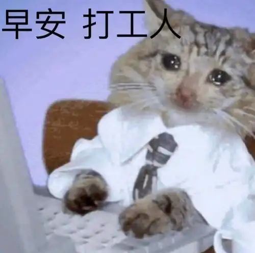  表情包早安打工人