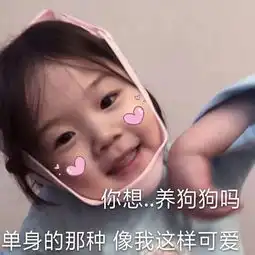  超强撩人表情你想养狗狗吗单身的那种,像我这样可爱的