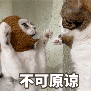  表情包可爱沙雕表情包32张
