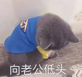 今日热门无水印表情包40张