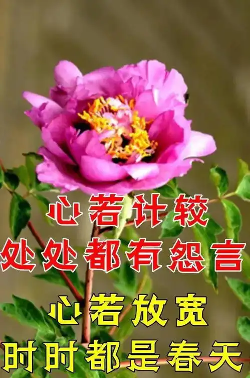 早啊表情包可爱早上好