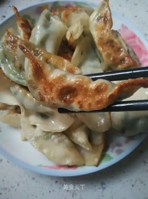  煎饺的做法煎饺怎么做乐宝妈的菜谱