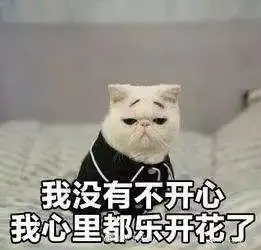  这届冷空气超凶东莞这波能成功入秋吗