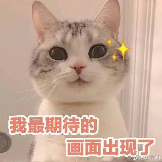  酥嘻的相册阿猫阿狗表情包