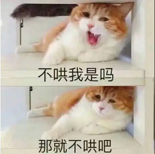  趣味今日快乐源泉,沙雕网友点评欢乐多