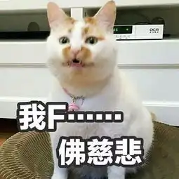  网红猫楼楼表情合集