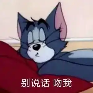  表情包别说话,吻我