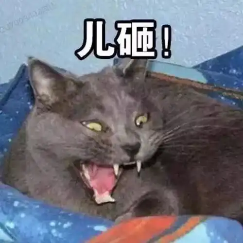  这些表情包非常实用
