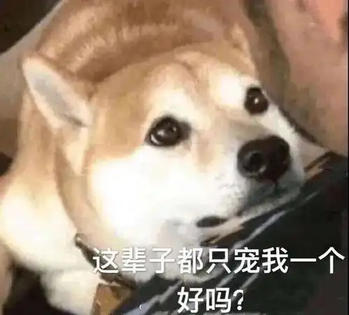 撒娇表情包图片我不管