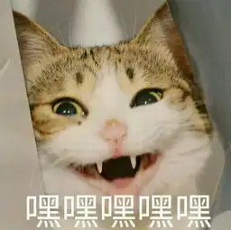  写作不改革,安稳上高分